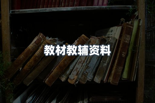 外文电子书系列